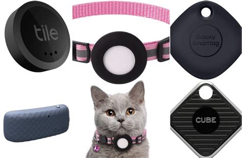 rfid tracking cats|top rated cat tracker.